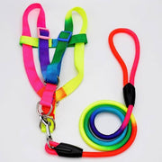 Leash & Vest For Large Dogs