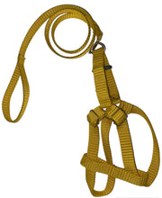 Leash & Vest For Small Dogs