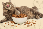 One & Only Dry Food For Adult Cat Sterilized - 400 G