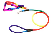 Colorful Vest And Leash For Dog And Cats