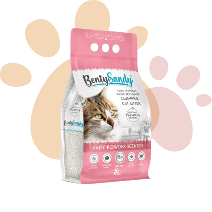 Cat Litter Products