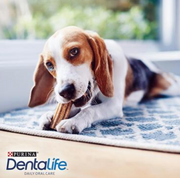 DENTALIFE® Small Dog Dental Dog Chews - 7 Sticks