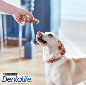 DENTALIFE® Large Dog Dental Dog Chews - 4 Sticks