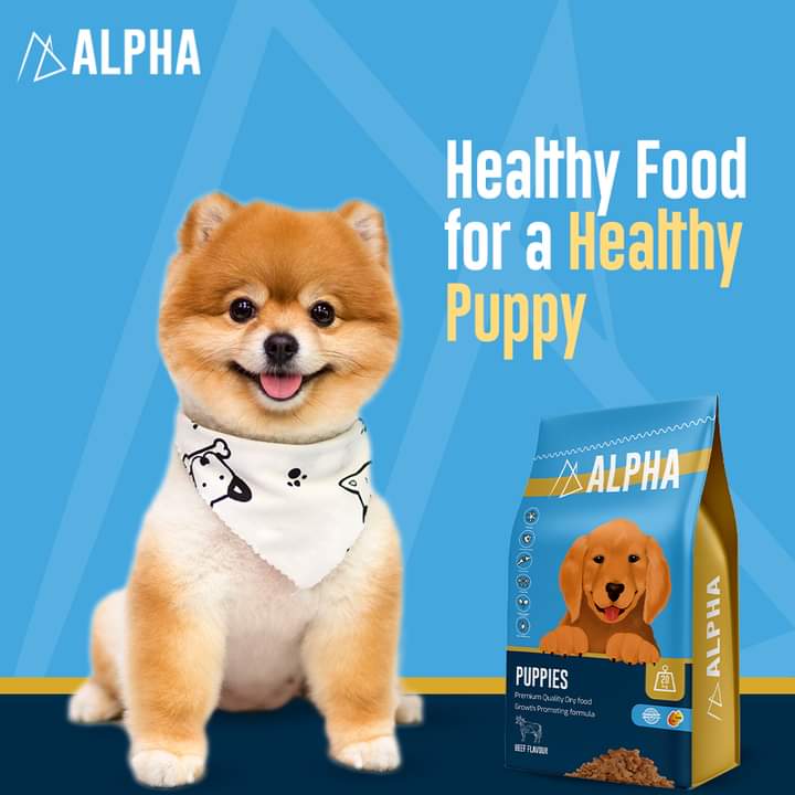 Alpha Dog Dry Food For Puppies With Beef Flavor - 500 G