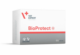 BioProtect -Vet Expert For Cats & Dogs - 1 Strip
