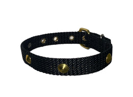 Collar For Small Dogs