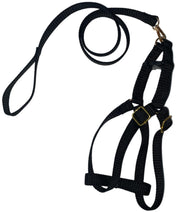 Leash & Vest For Large Dogs