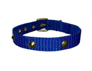 Collar For Small Dogs