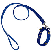 Leash & Collar For Small Dogs