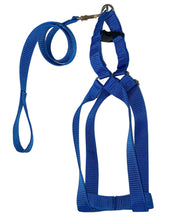 Leash & Vest For Large Dogs