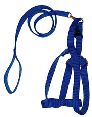 Leash & Vest For Small Dogs