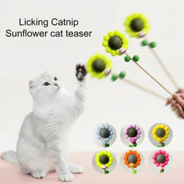 Catnip Flower Toy For Cats