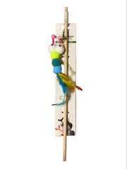 Chasting Toy For Cats With Feather