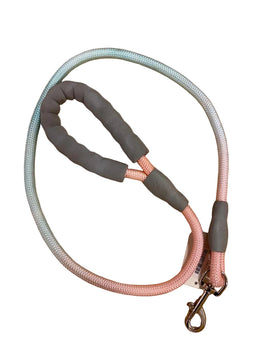 Colorful Leash For Dog -L