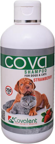 Cova Shampoo-Strawberry For Cats & Dogs 250 ML