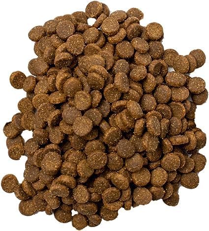 Doodzy Cat Dry Food Classico - 1 KG