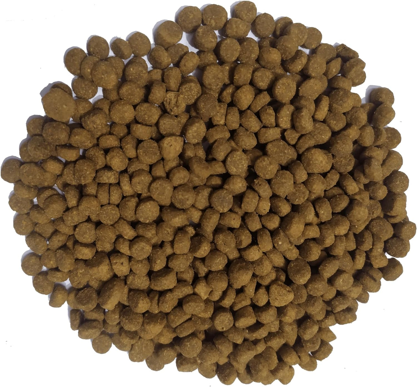 Doodzy Cat Premium Dry Food - 1 KG