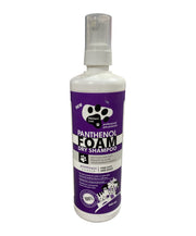 Protect Line Panthenol Foam Dry Shampoo
