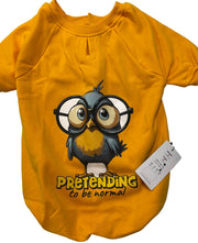 Orgo Sweatshirt With Scotch For Pets Mustard Yellow