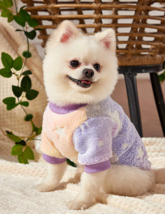 Purple Starry Gradient Color Print Pet Hoodie