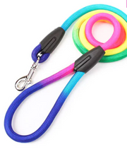 Rainbow Leash For Large Dog