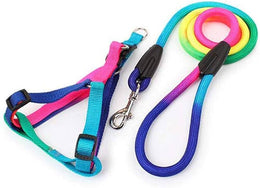 Rainbow Leash & Vest For Large Dogs
