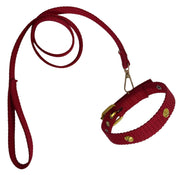 Leash & Collar For Small Dogs
