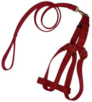 Leash & Vest For Large Dogs