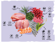 Sarar Fit & Digestive Super Premium Cat Food With Chicken & Cranberry 2 kg