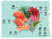 Sarar Urinary Care Super Premium Cat Food With Salmon & Cranberry 2 kg