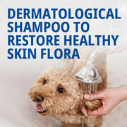 VIRBAC Pyoderm Shampoo 250 ml