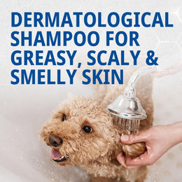VIRBAC SEBOLYTIC Shampoo 250 ml