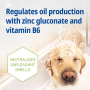 VIRBAC SEBOLYTIC Shampoo 250 ml