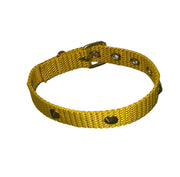 Collar For Small Dogs