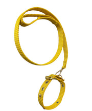Leash & Collar For Small Dogs