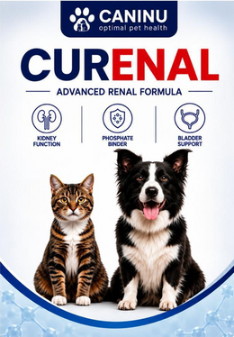 Curenal Advanced Renal Formula For Dog & Cat 100 ml