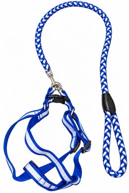 Fluorescent Leash & Vest For Small Dogs