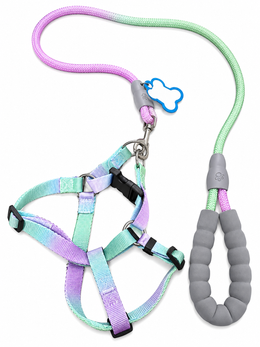 Multicolor Vest & Leash For Small Dogs