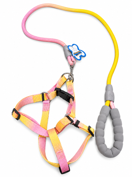 Multicolor Vest & Leash For Small Dogs