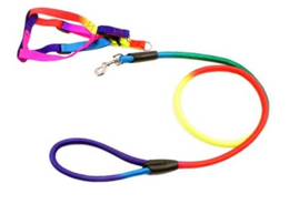 Rainbow Vest And Leash For Pets S Size